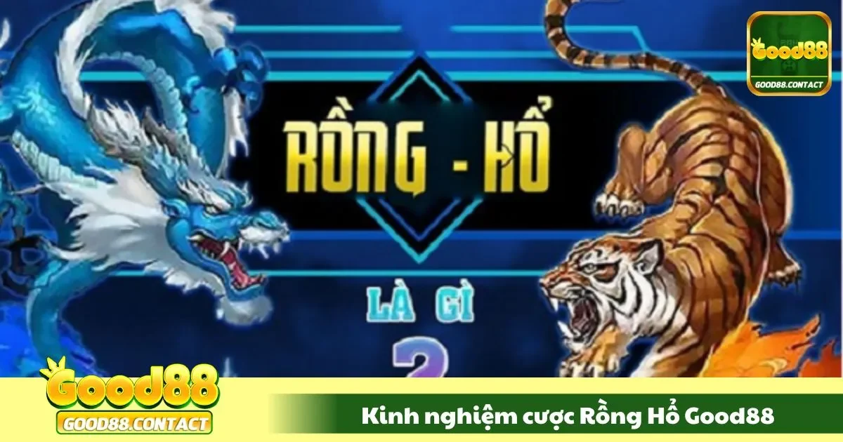 Kinh nghiệm cược rồng hổ được truyền lại từ cao thủ