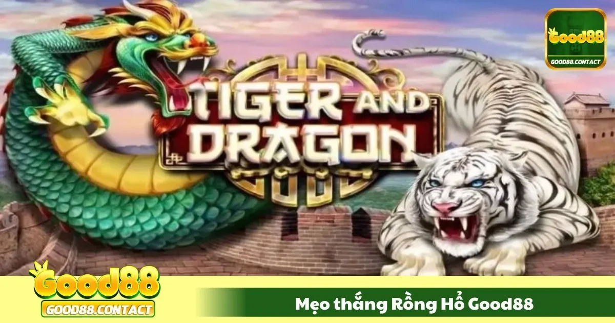 Nắm rõ luật trước khi chơi