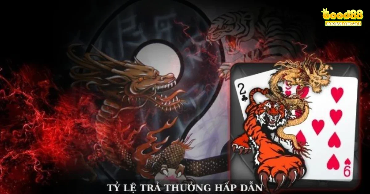 Cách thức đặt cược Rồng Hổ theo từng cửa khác nhau