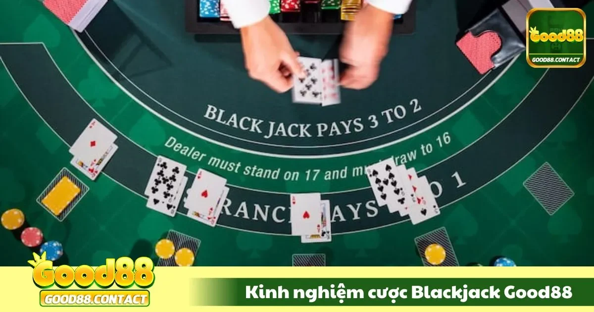 Kinh nghiệm cược blackjack mà người mới nên biết
